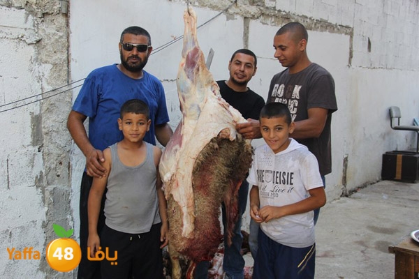 dabe7 ludj31 (4).JPG